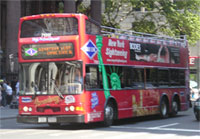 New York Sightseeing's Gray line Bus Tour - Hop On, Hop Off Bus Tours