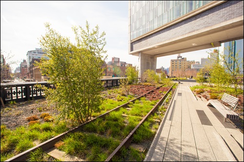 The High Line in New York City - Transforming something unused to something useful